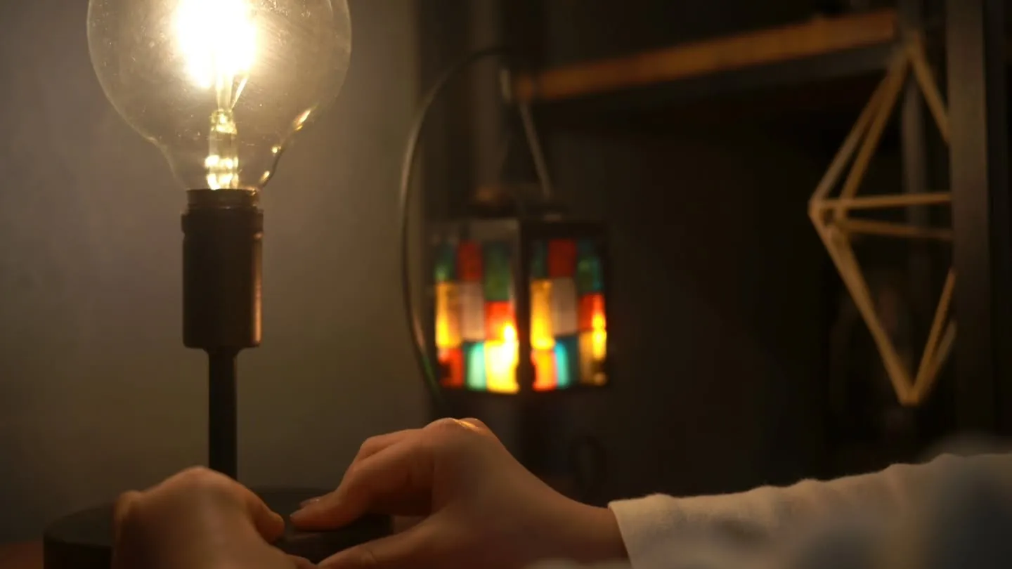 【MICHIKUSA moment 2025.11-1】