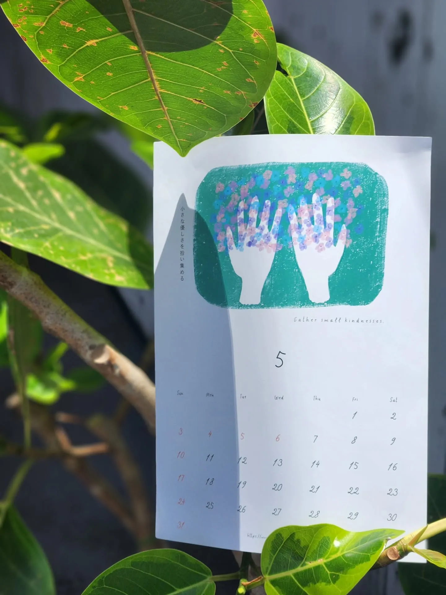 【5月／健やかな春の終わり🌿】