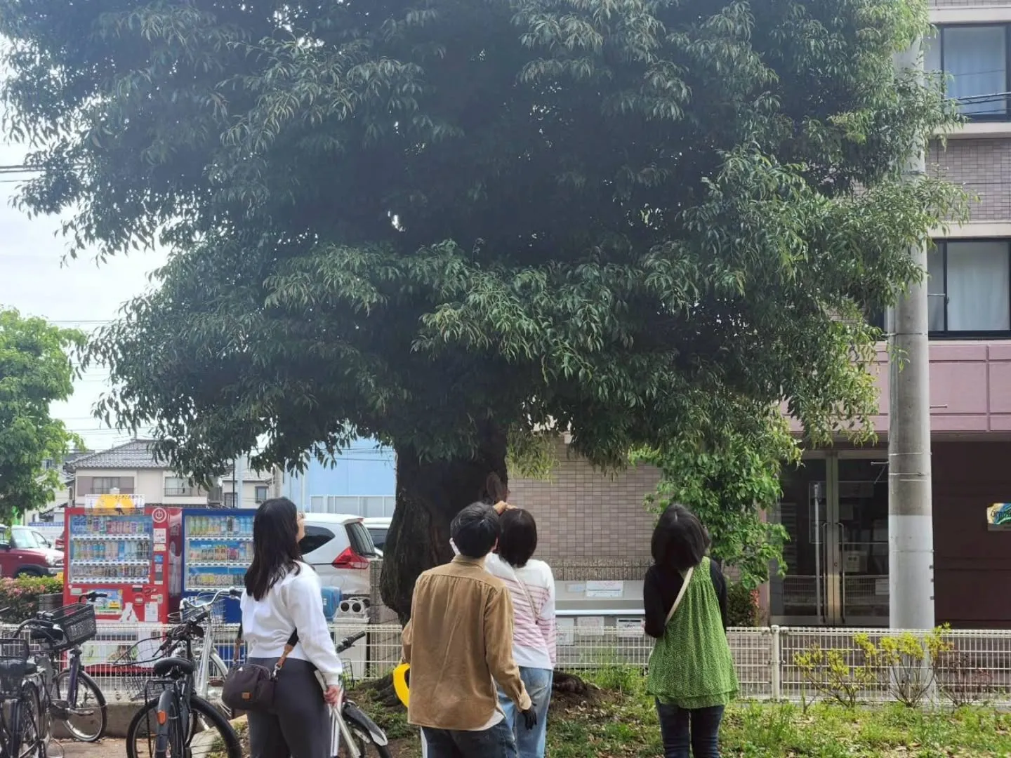 【5月／健やかな春の終わり🌿】